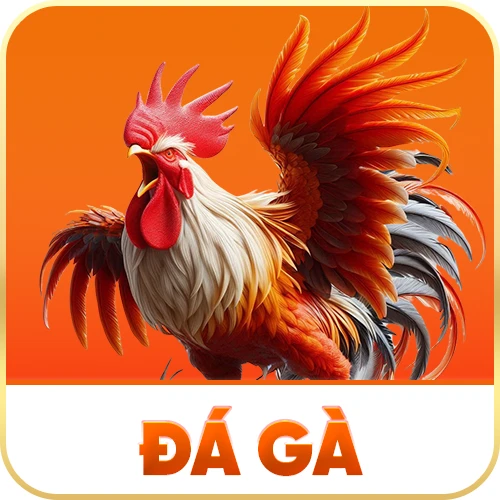 Đá gà